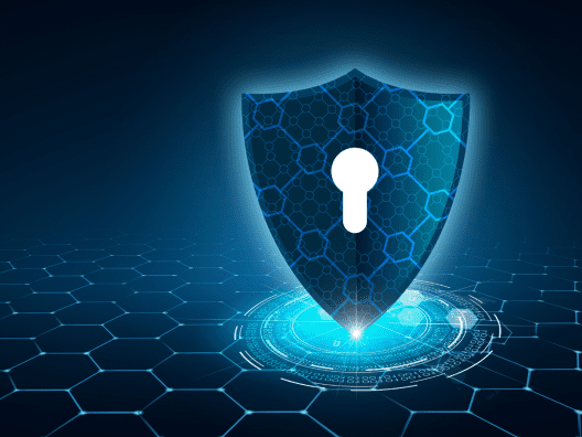 Penetration Testing